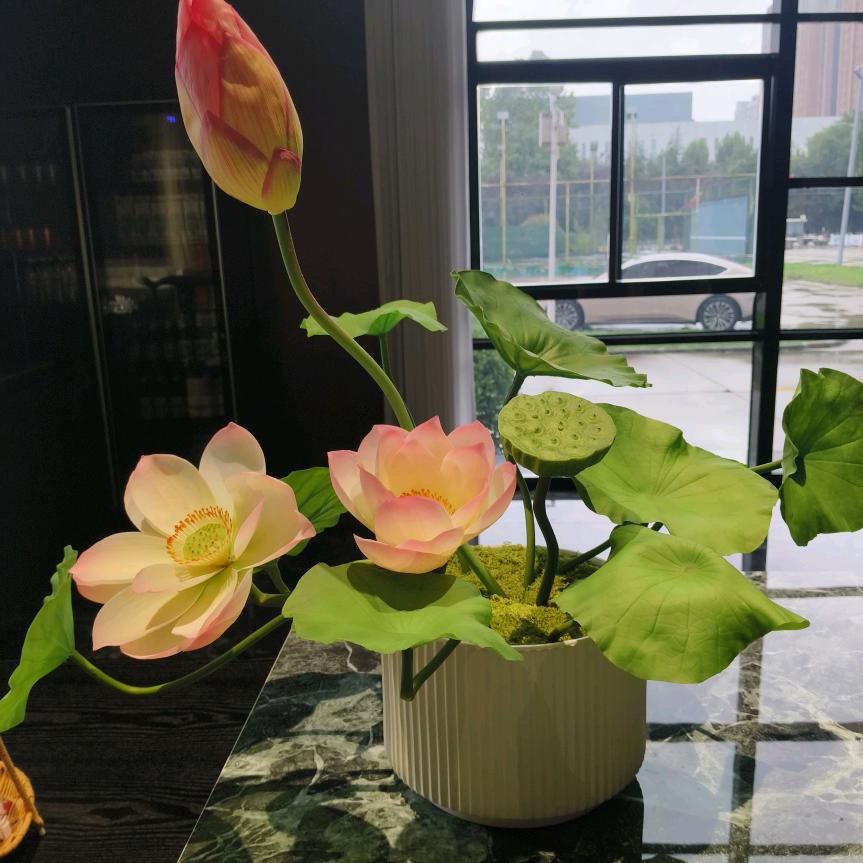 情情