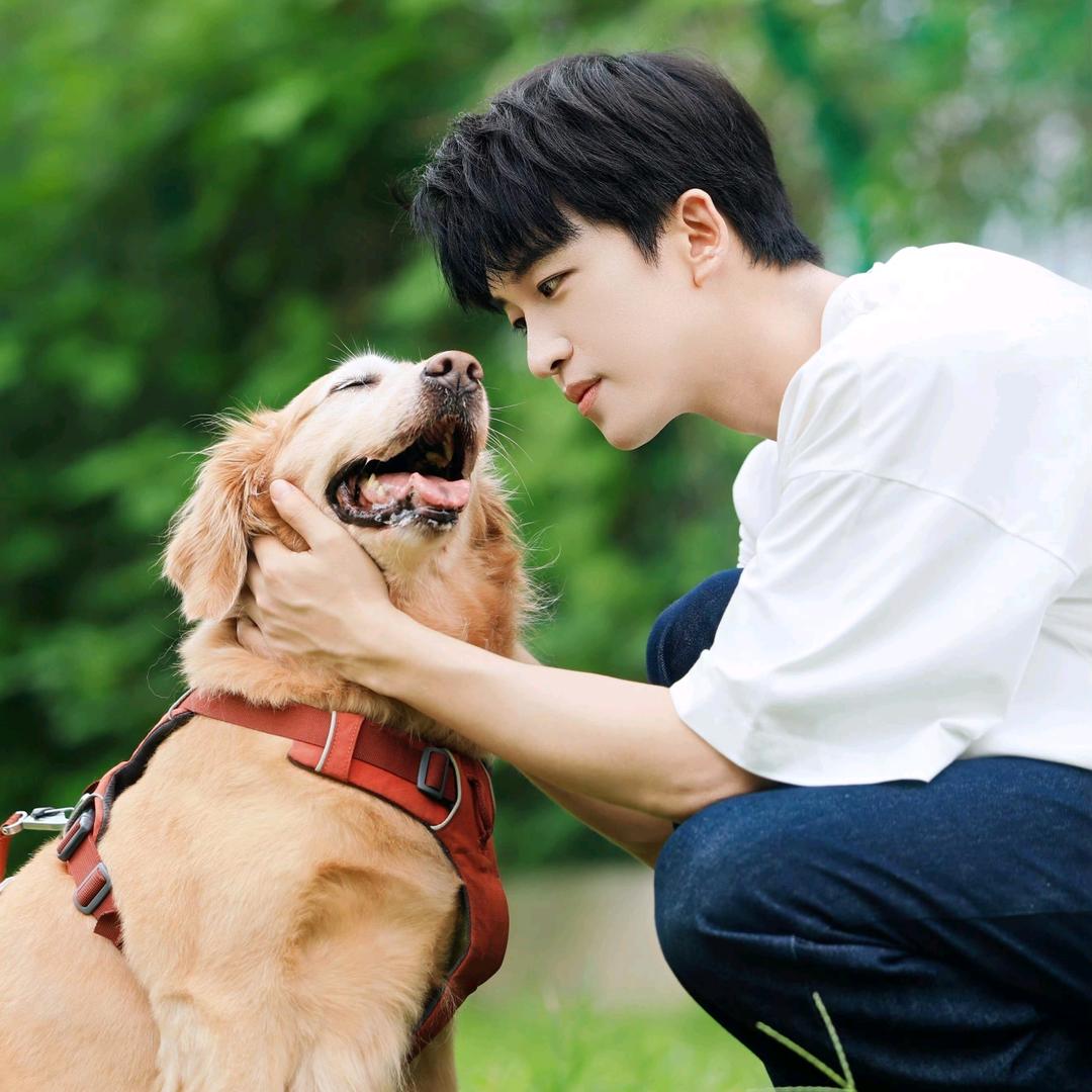 狂风下副歌前置