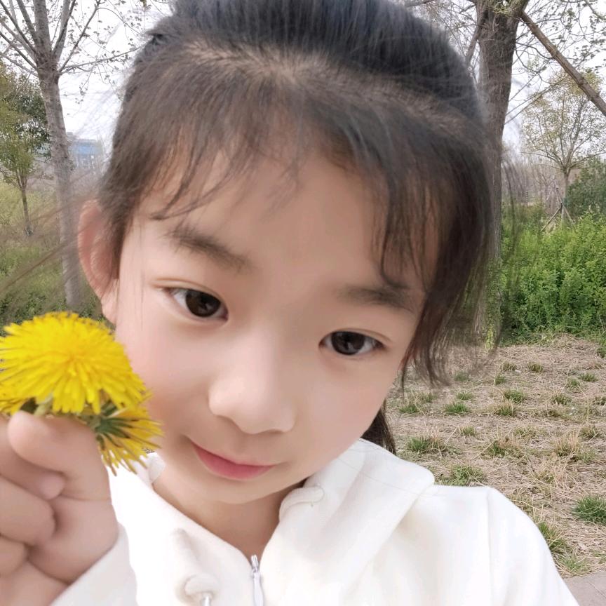 河南王姐（探店）