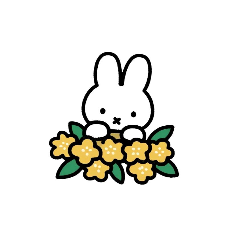 全给我寿司吧