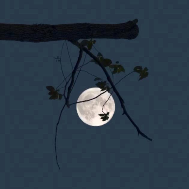 方程豹玩专属邀请码GMKIBC