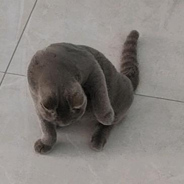 可爱不是长久之计