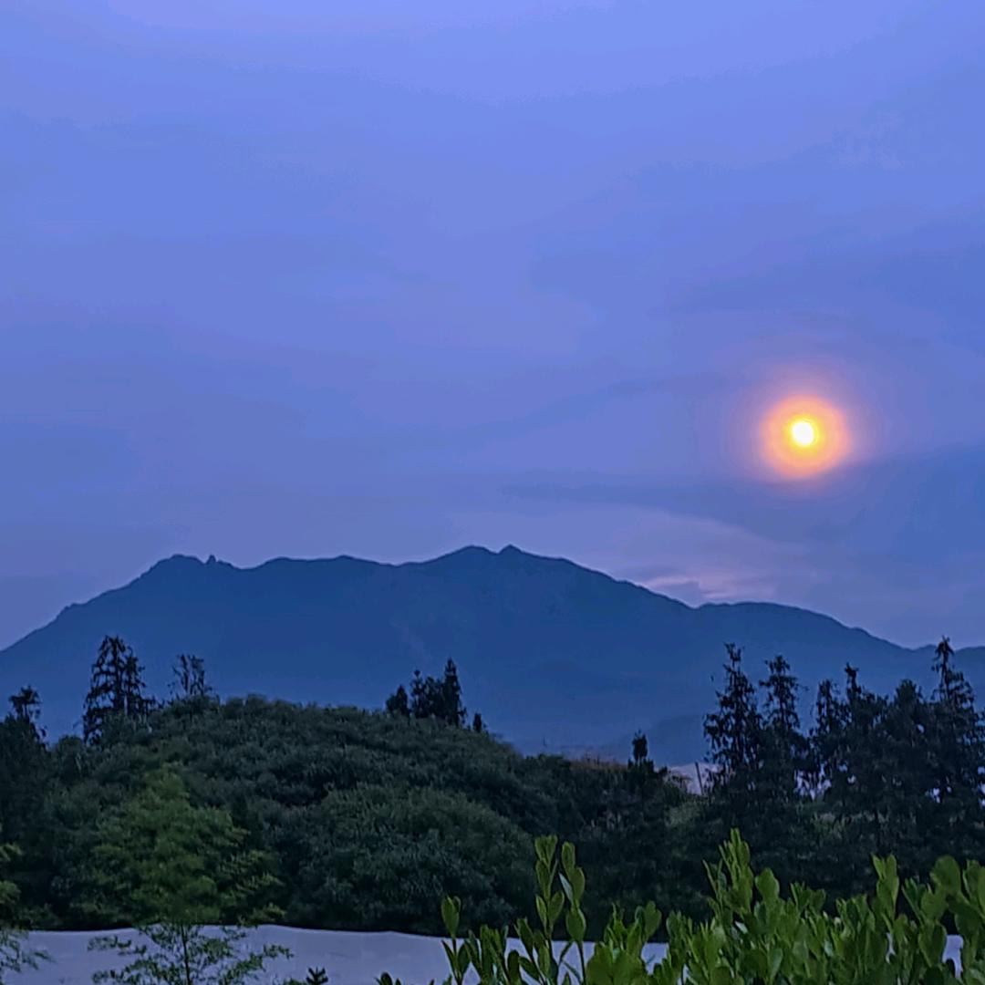 心  橙 