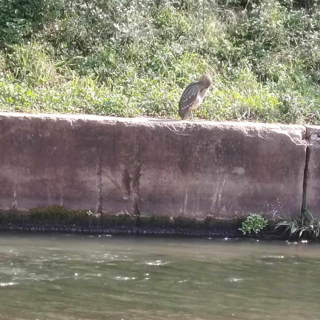人生道路那么长