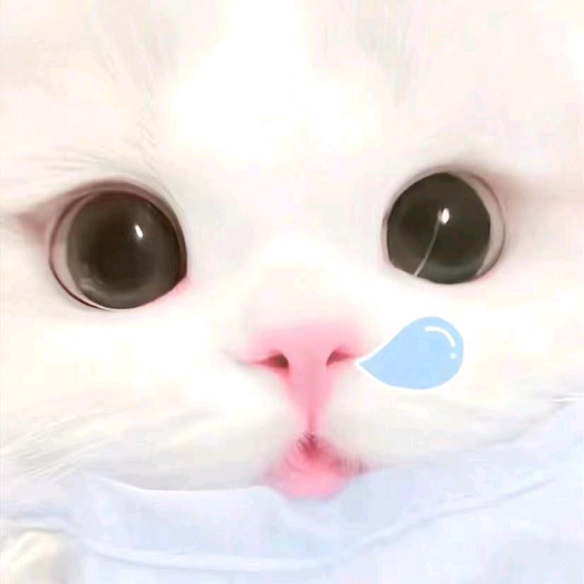 伟大的海贼王🦄