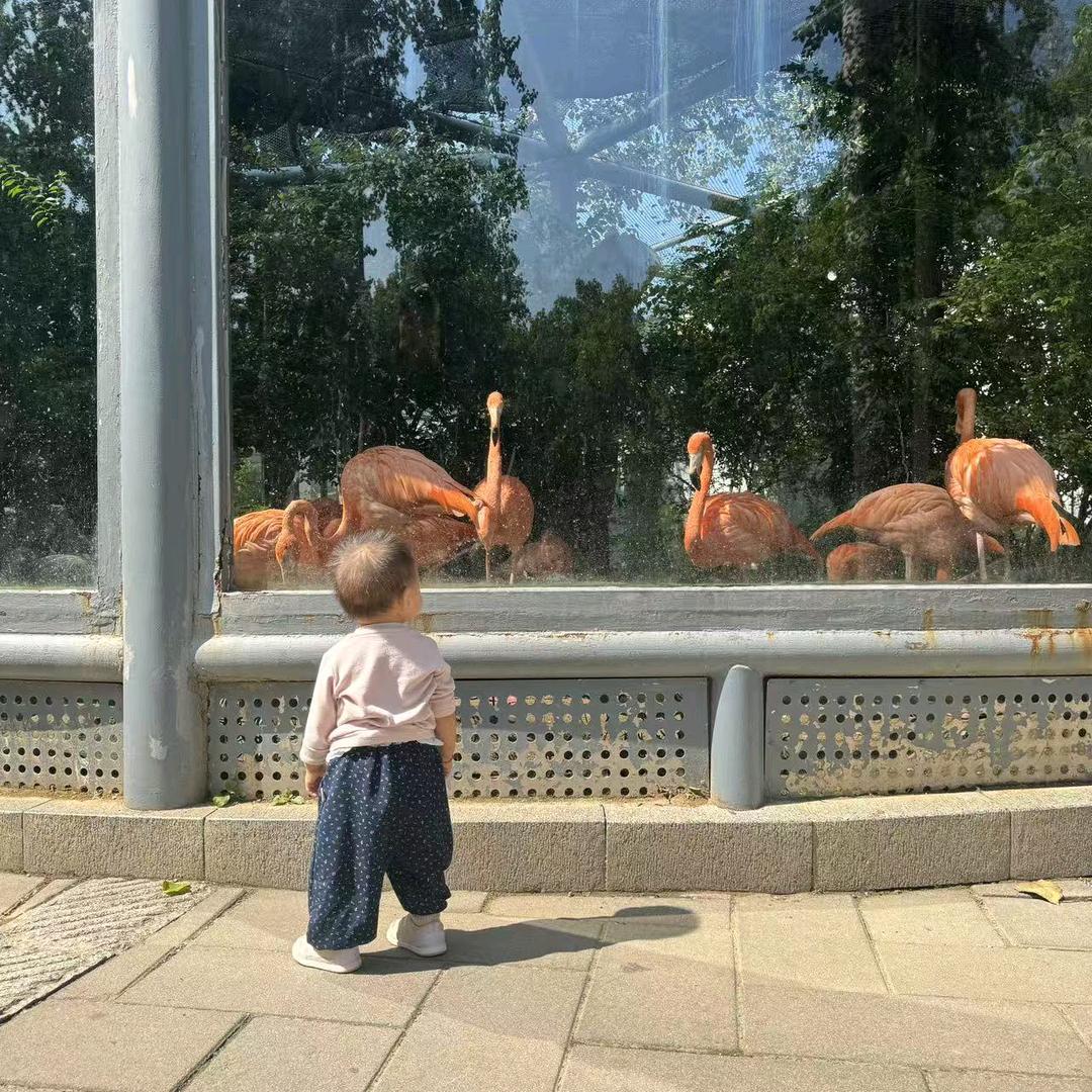 刘家人