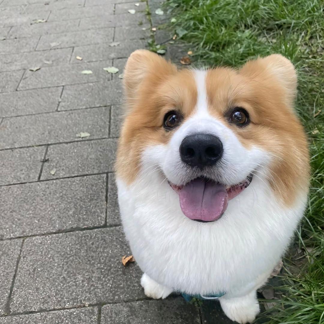 lucky小鱼
