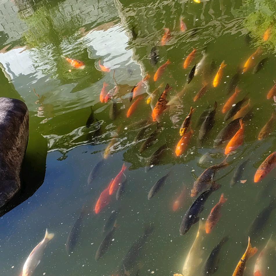 汽车人福州-张大姐