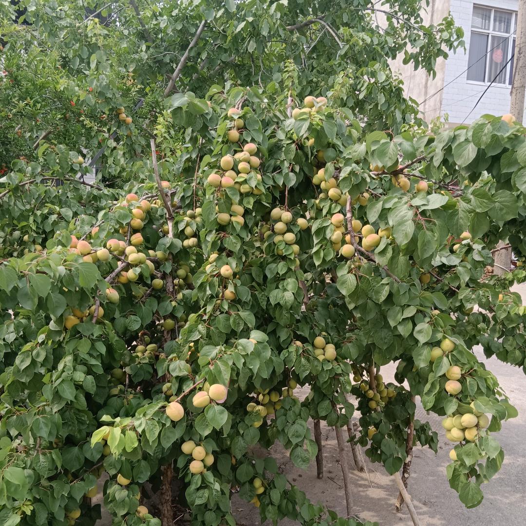 开开心心每一天