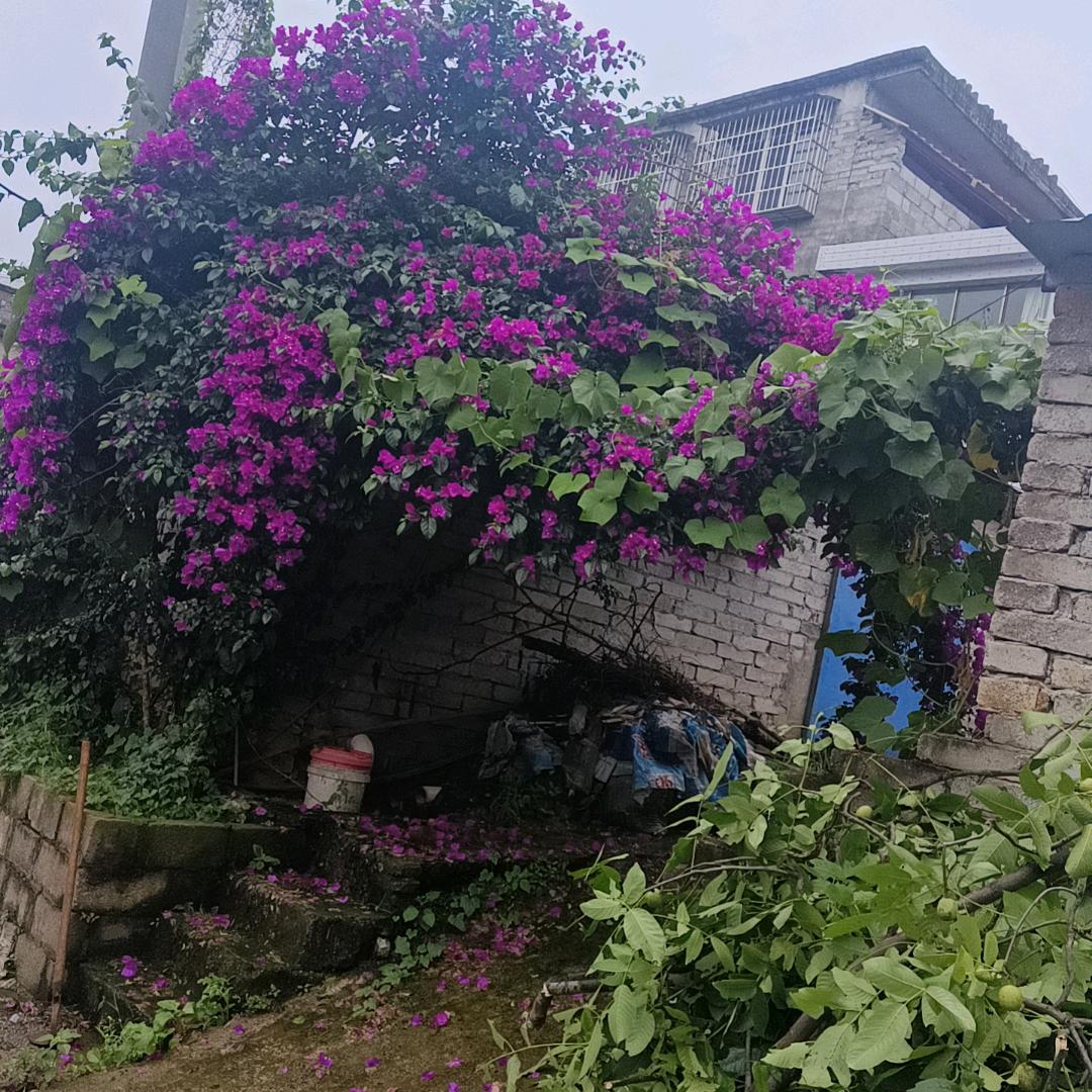 快乐每一天，