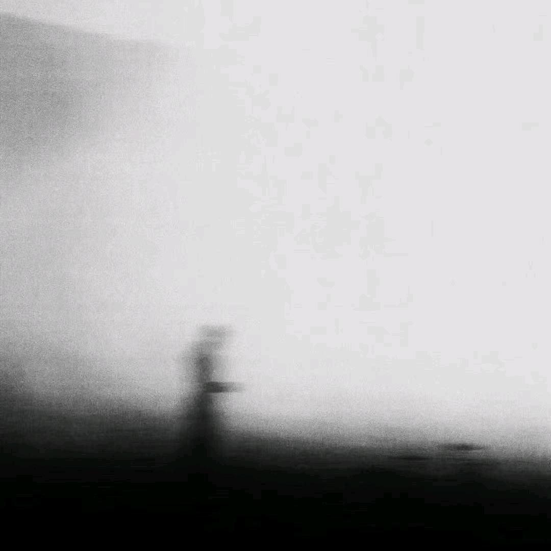 逃出丛林