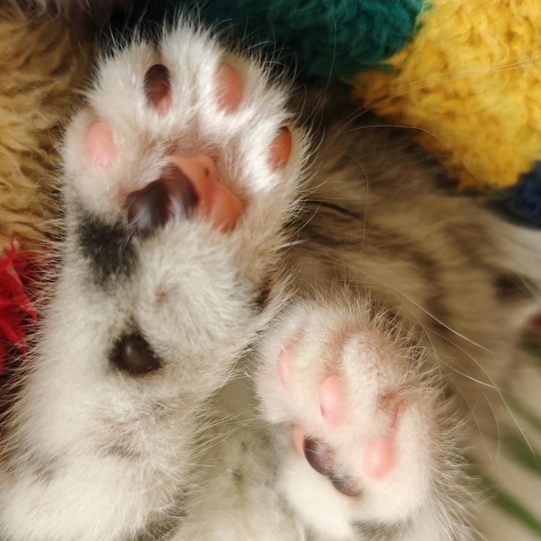 ¥超多张女士～