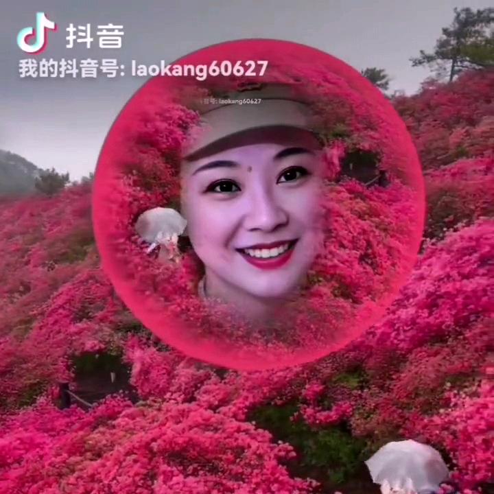 张元珍