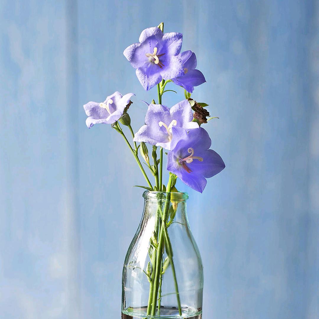 卖水果的小火柴