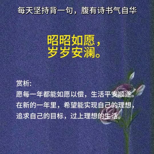 昭昭如愿、岁岁安澜！