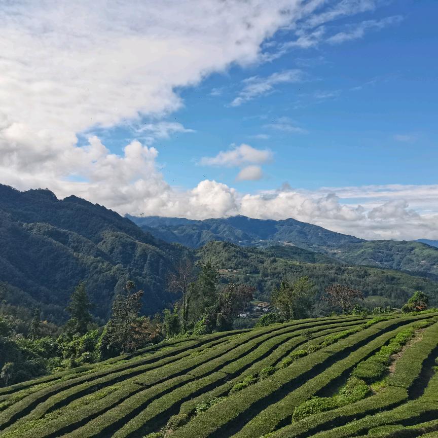 💞王事随风℘࿐ᩚ