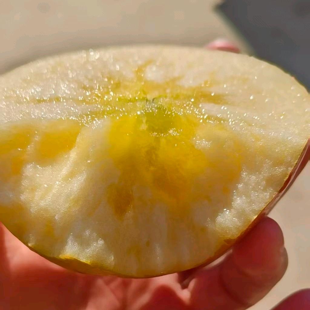 盘龙水果合作社