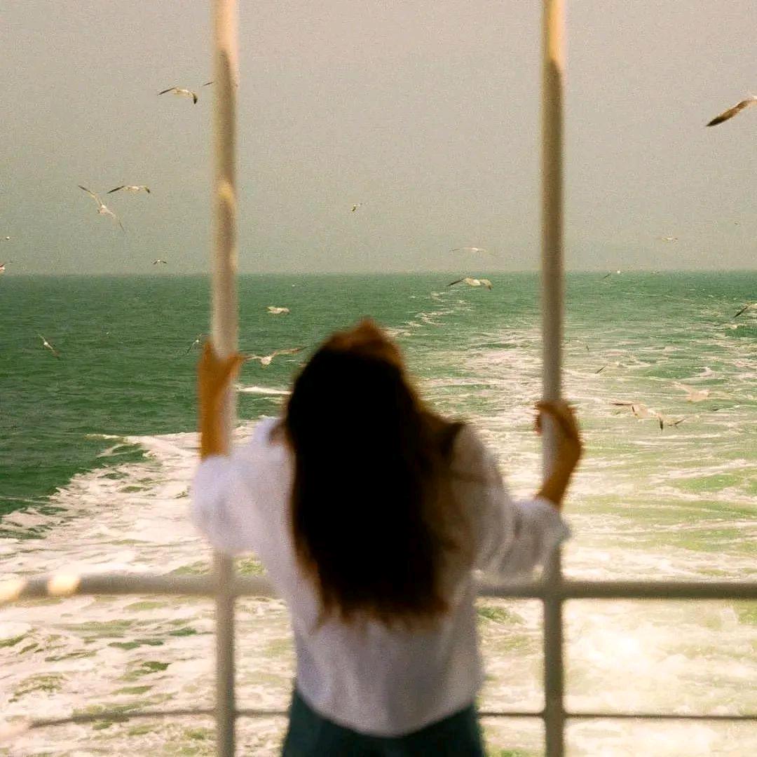 从月亮走向月亮