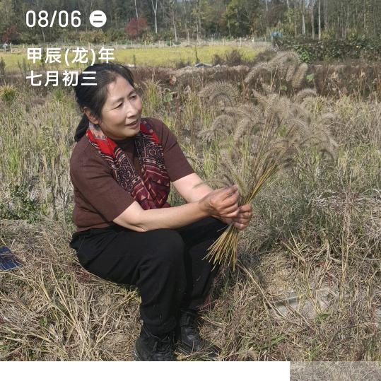 元姐