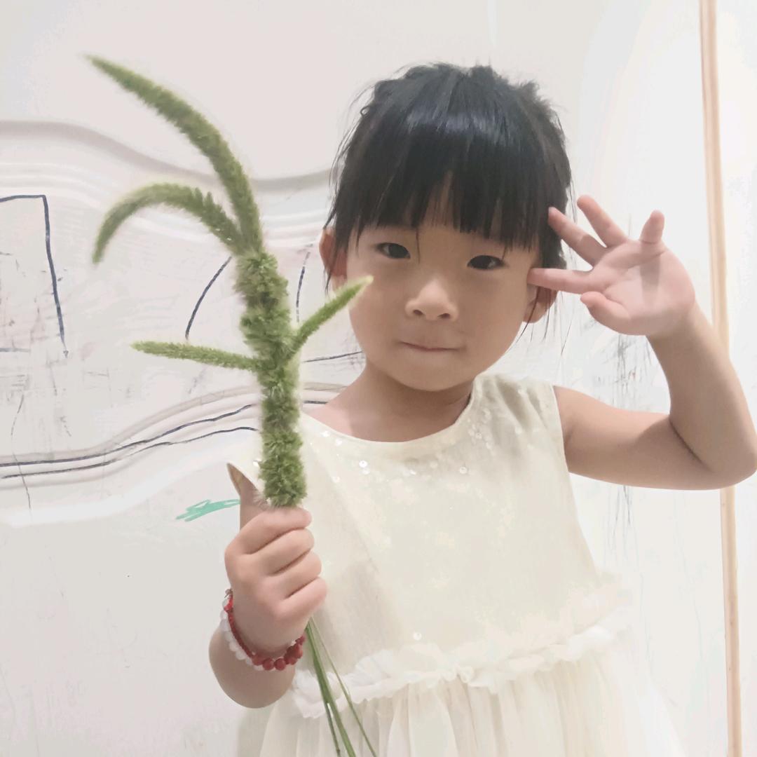笨蛋