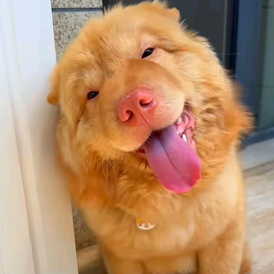 杠上花🌸