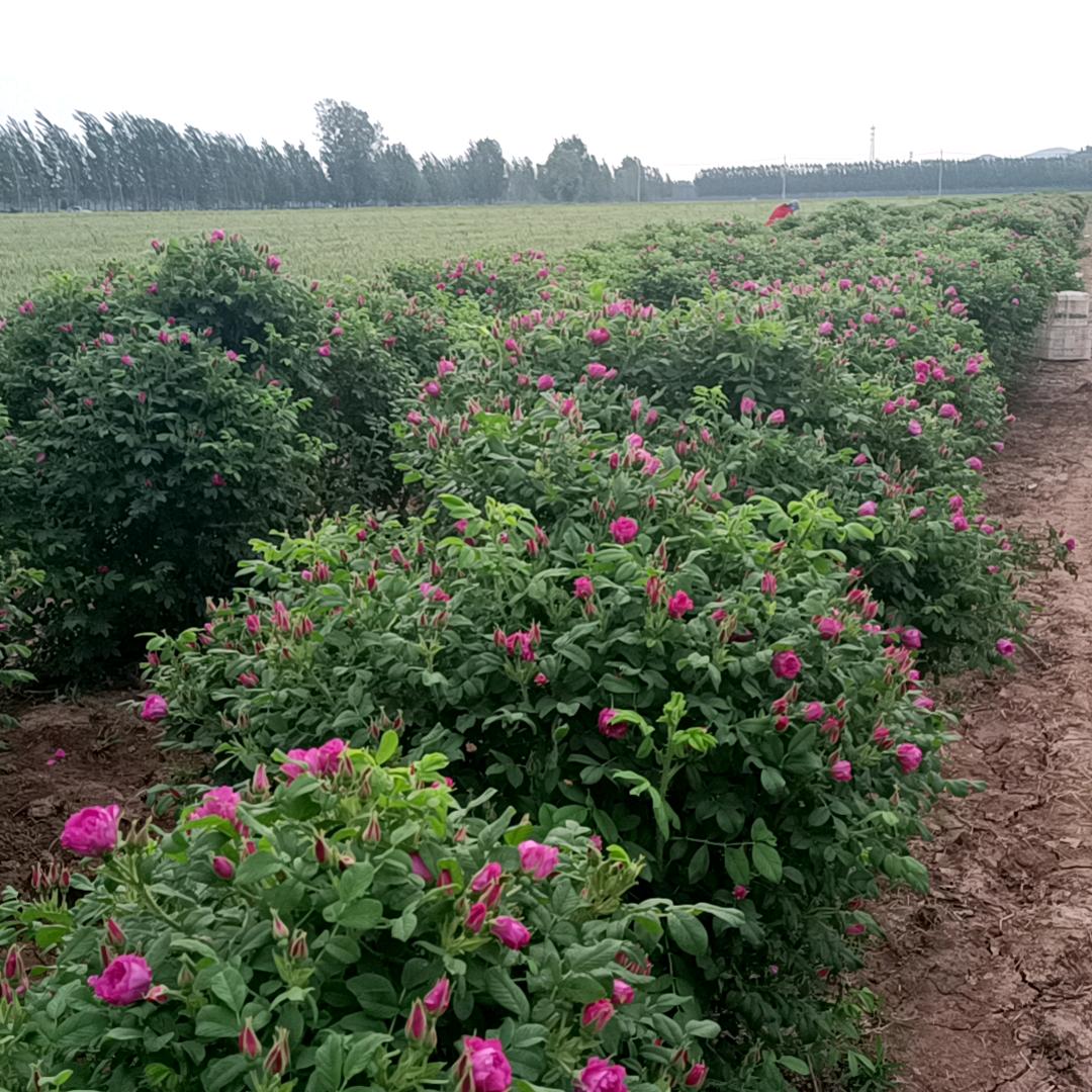 🦋҉ིꦿ追梦人🦋҉ིꦿ💕