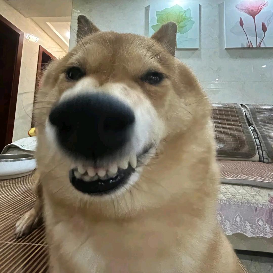 RL_40