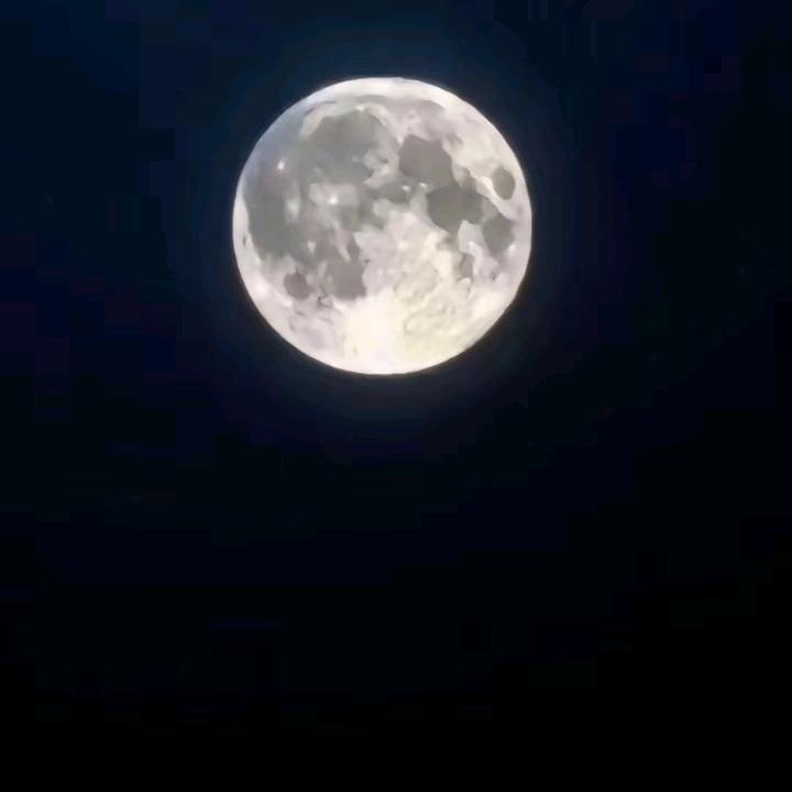 淡淡的疯感