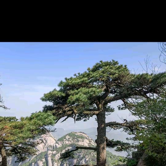 每天都有一个好心情