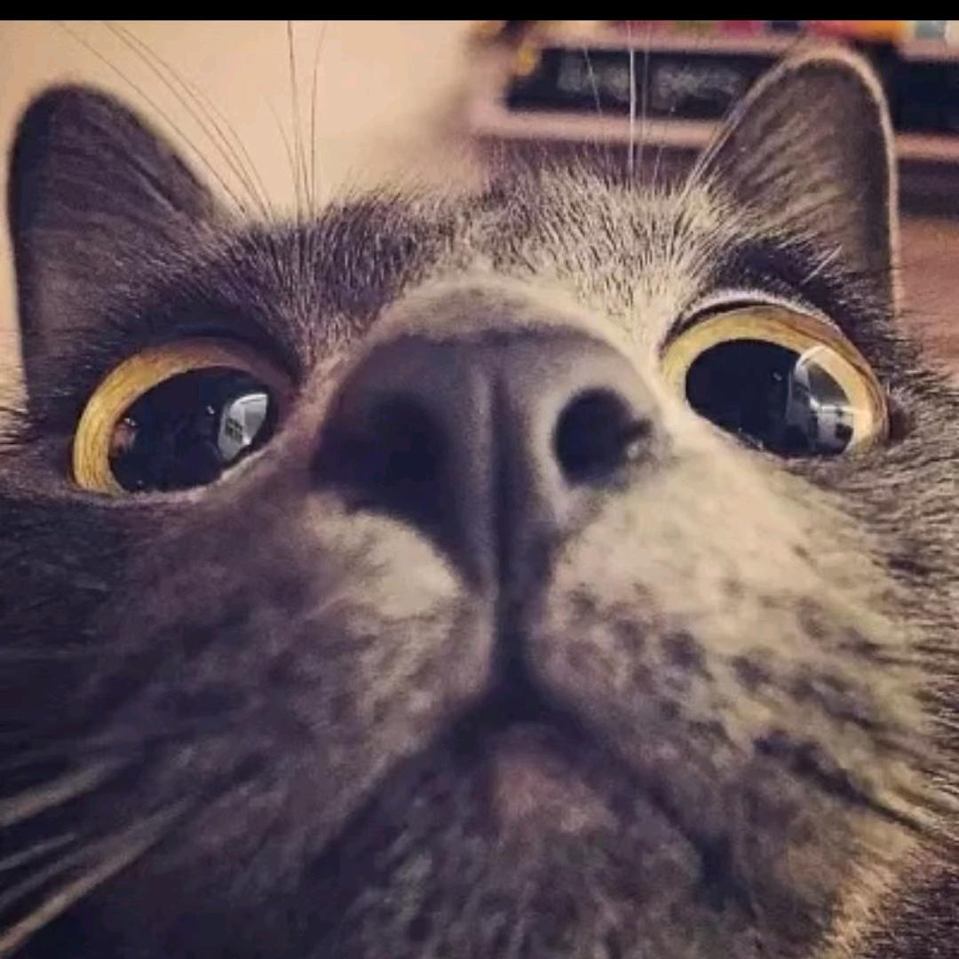 🐏小力听温柔🐑🐑🐑🐑🐑