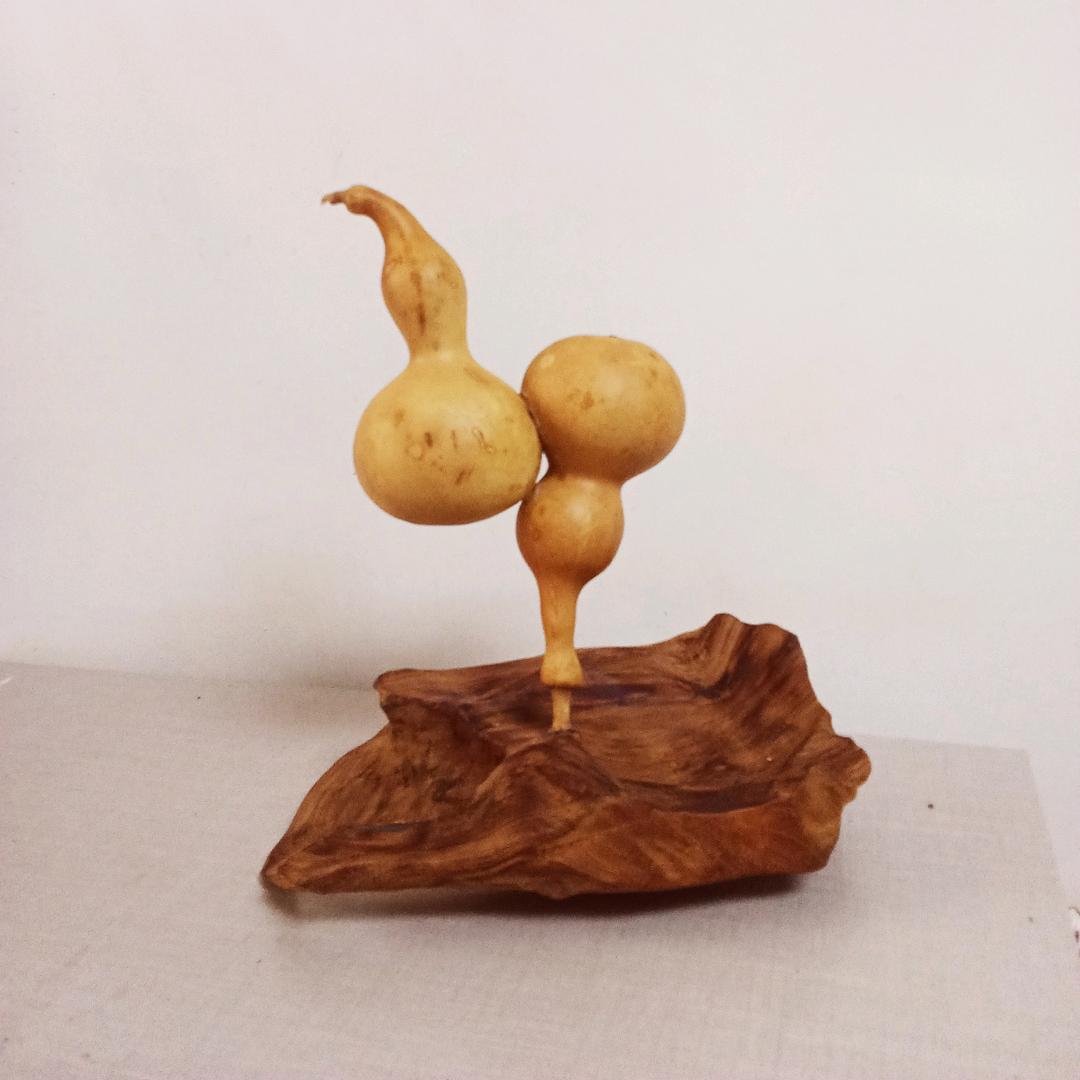 博逸拾光