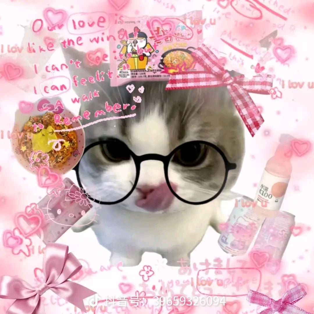 打瞌睡旳小猫咪！