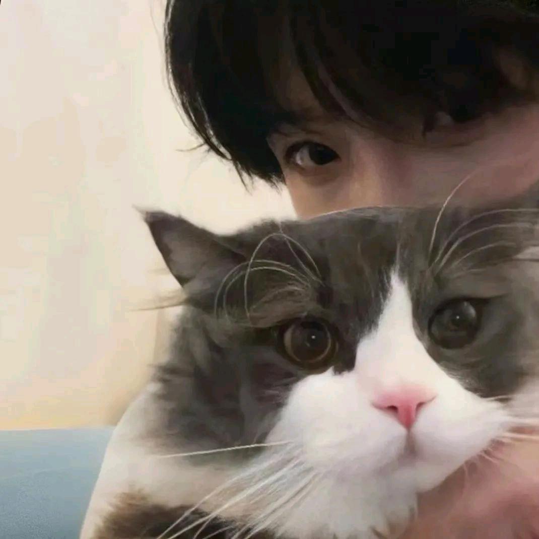 胜者为王