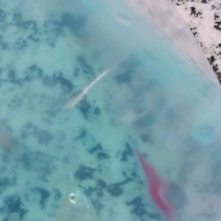 龙明新