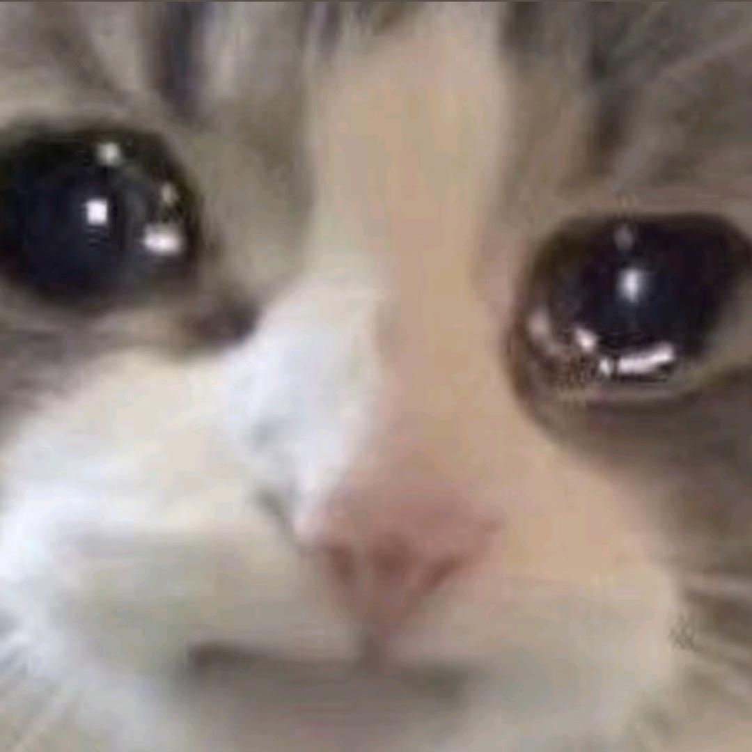 没有边界感的蠢货