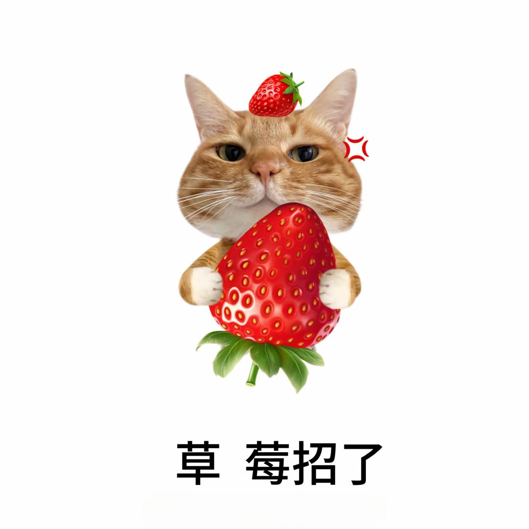 祈愿大王万万岁