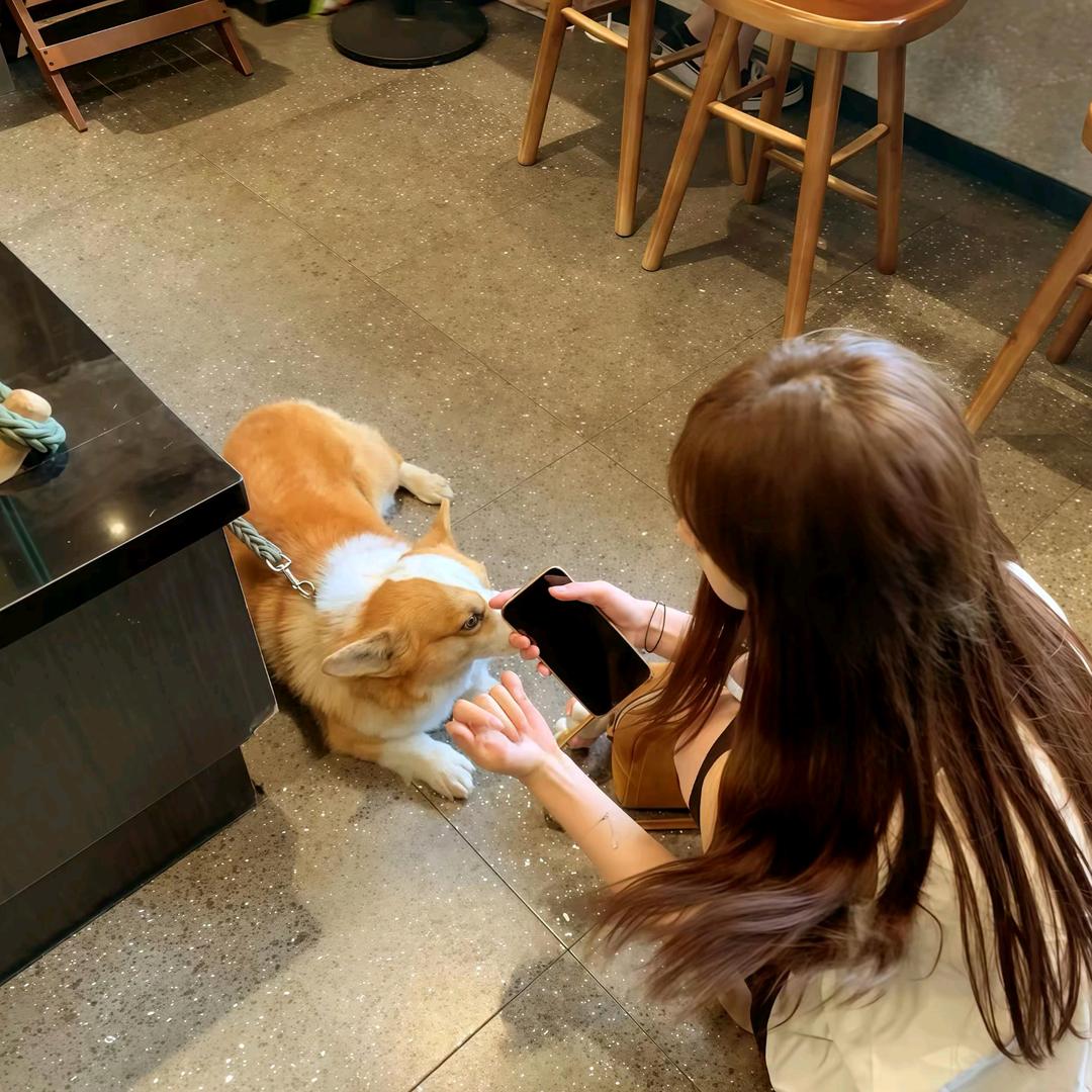 小猫。