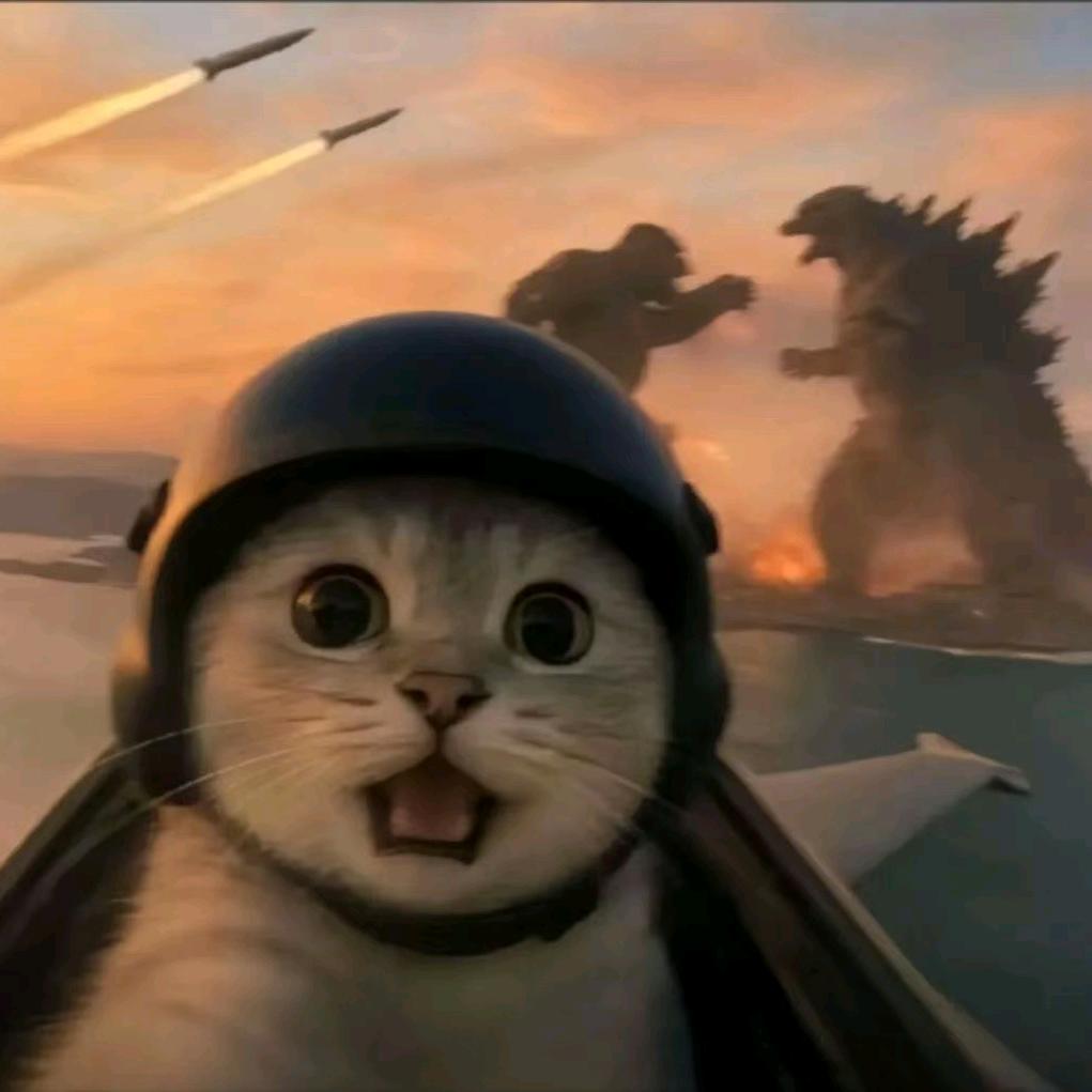 真叻峡谷大使（王者）