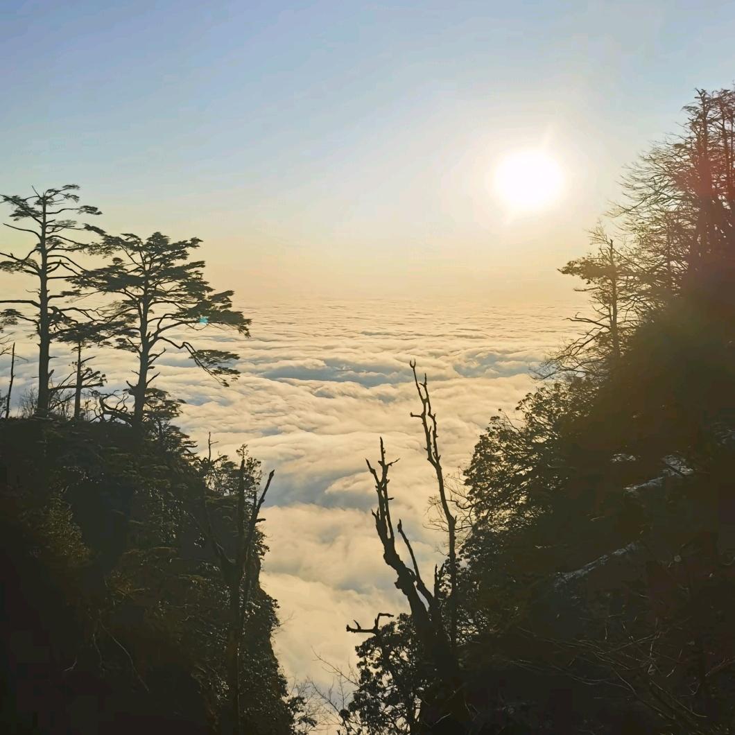 ꪶꪮꪜꫀ如愿დ᭄