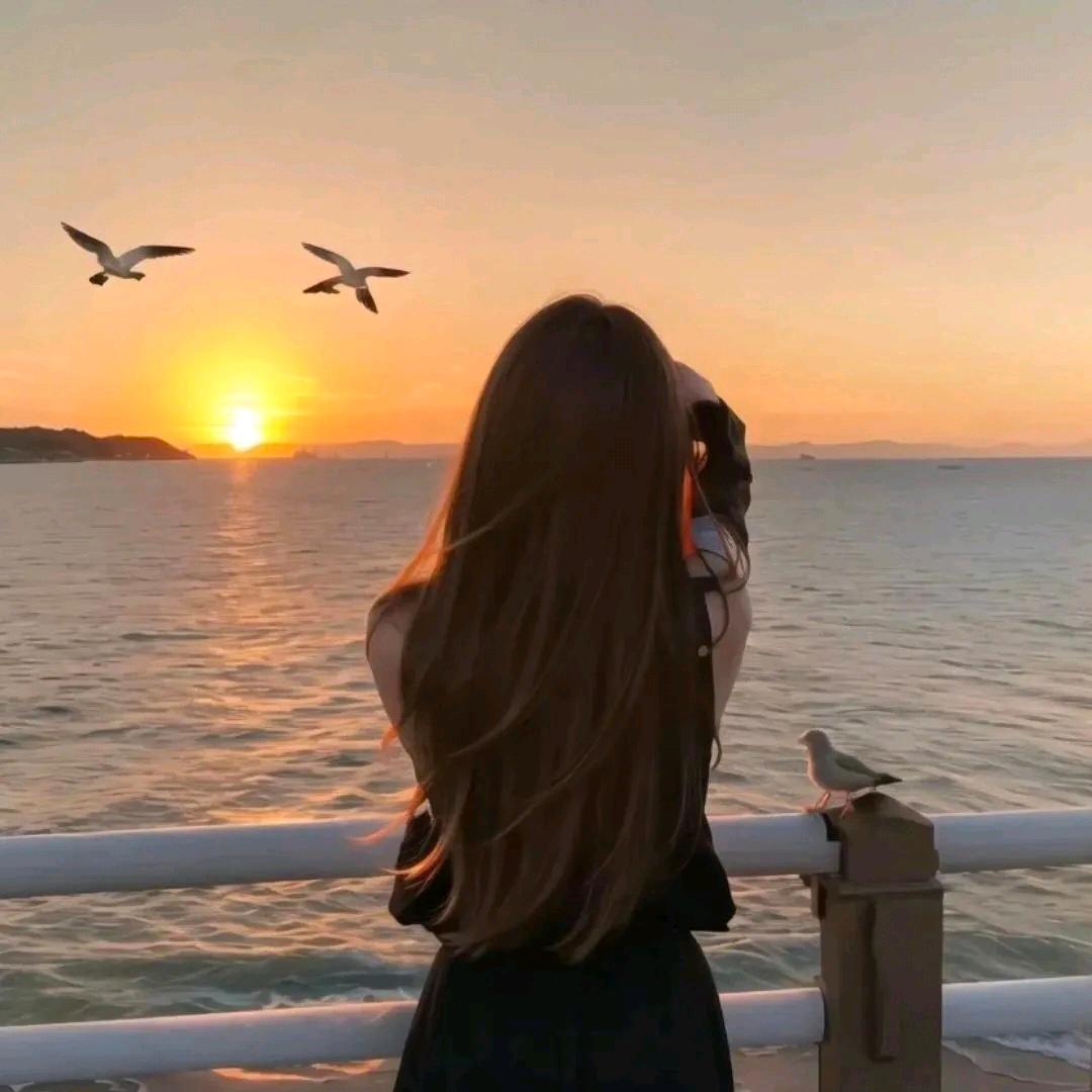 海海子百货6