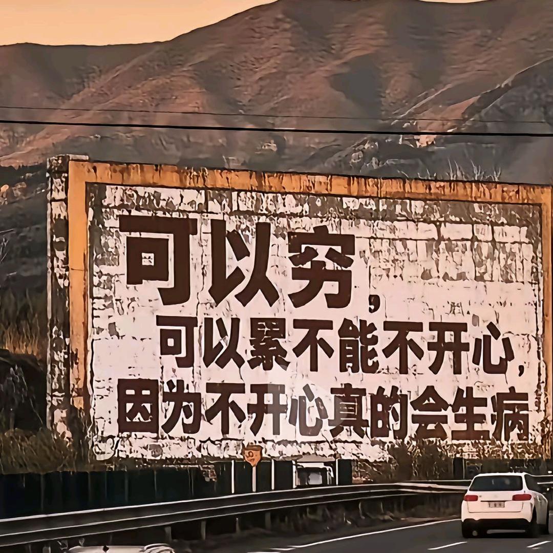 随便t