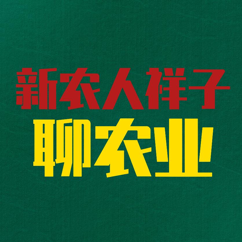 新农人祥子聊农业