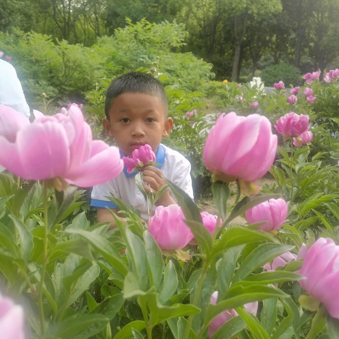 语呈