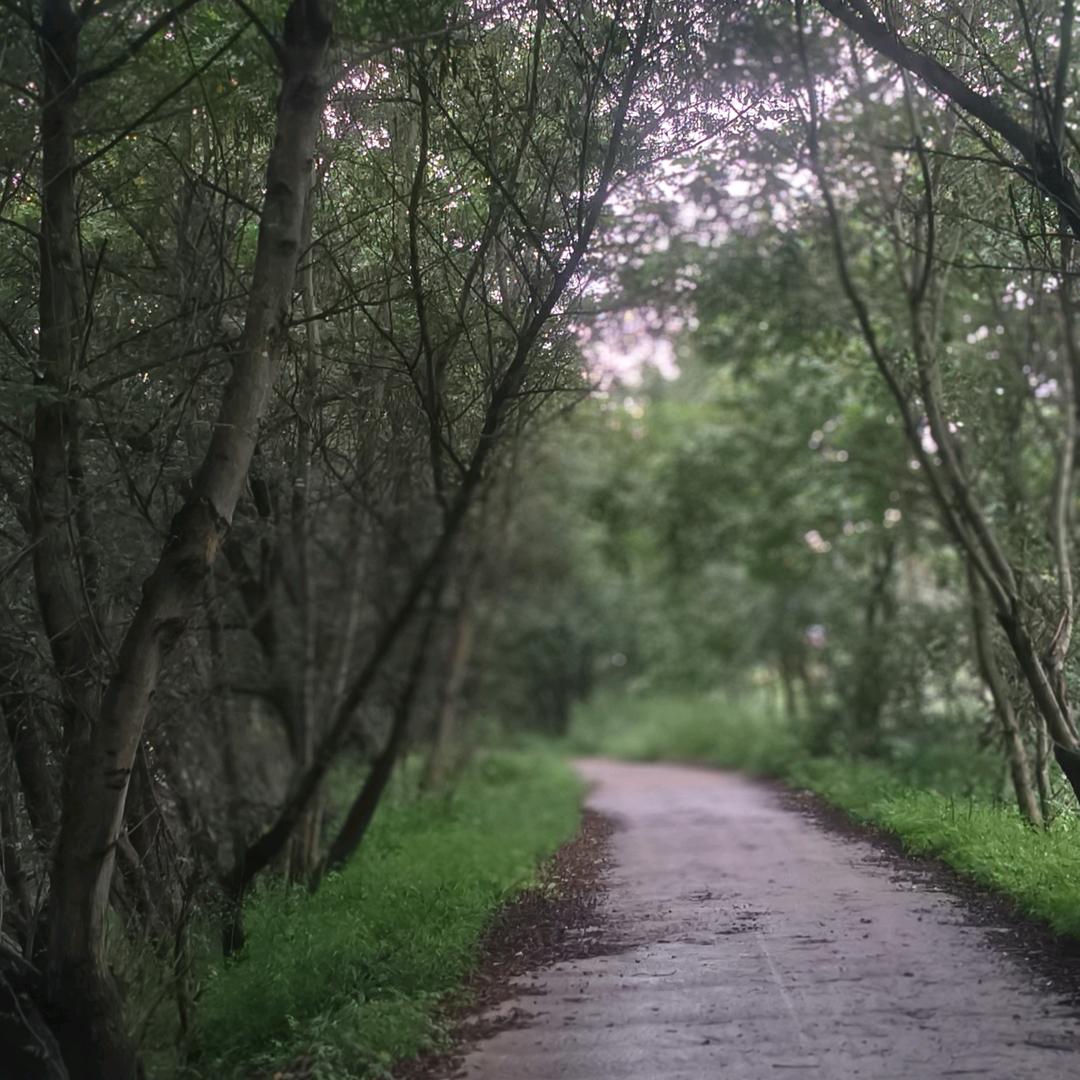 装表芯的小媳妇