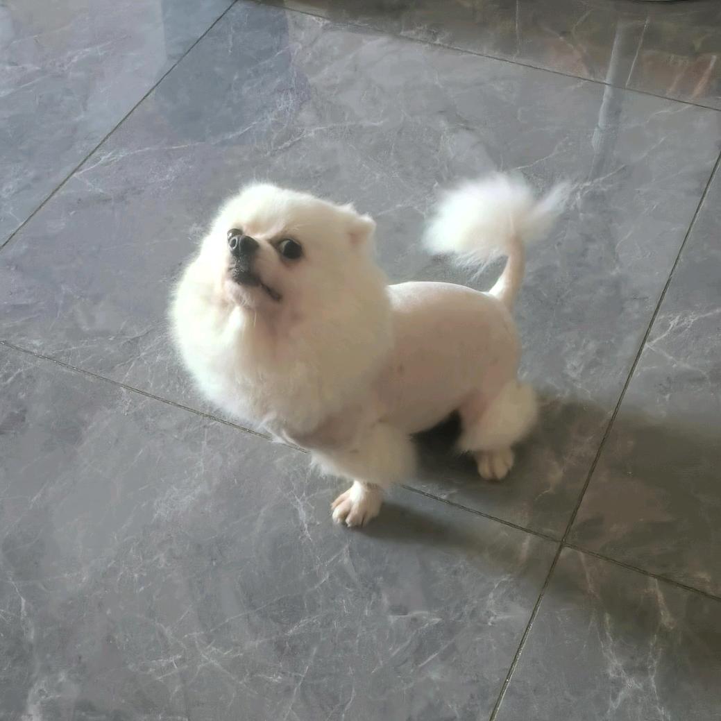 忘我