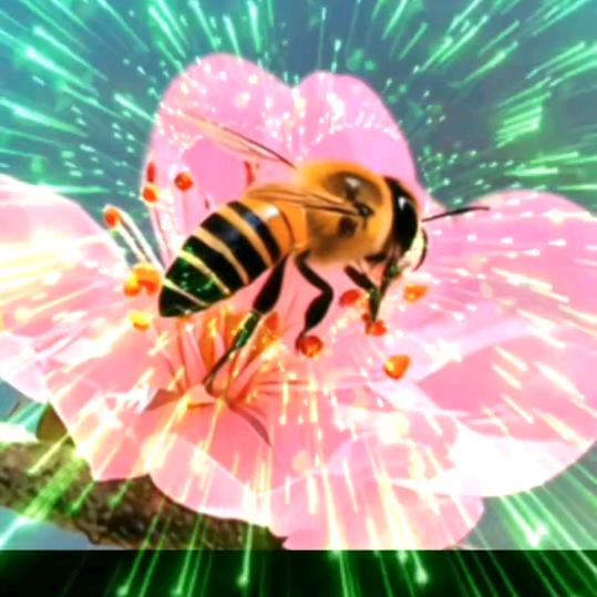 ༺༾蜂歌༒蝶舞༿༻