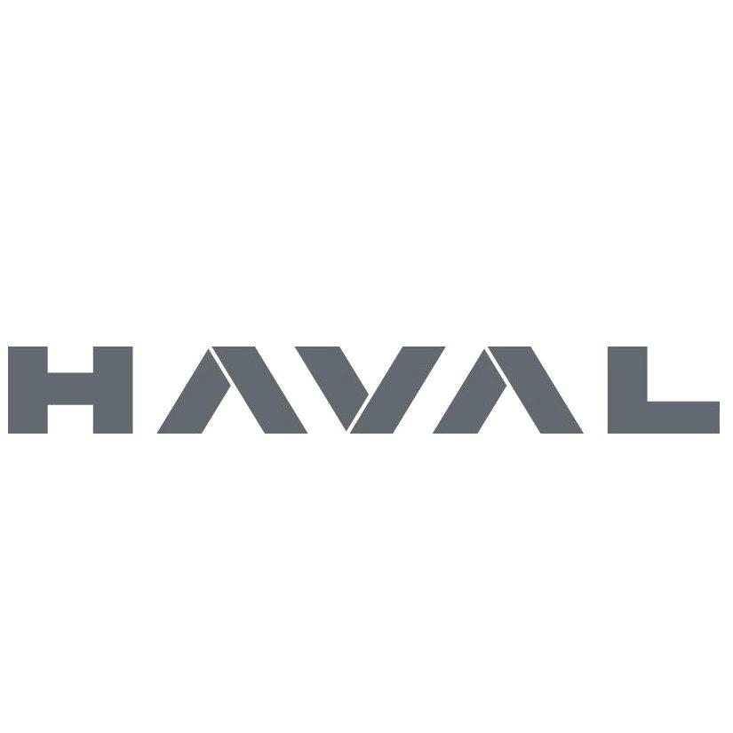 范先森-专注哈弗车机升级