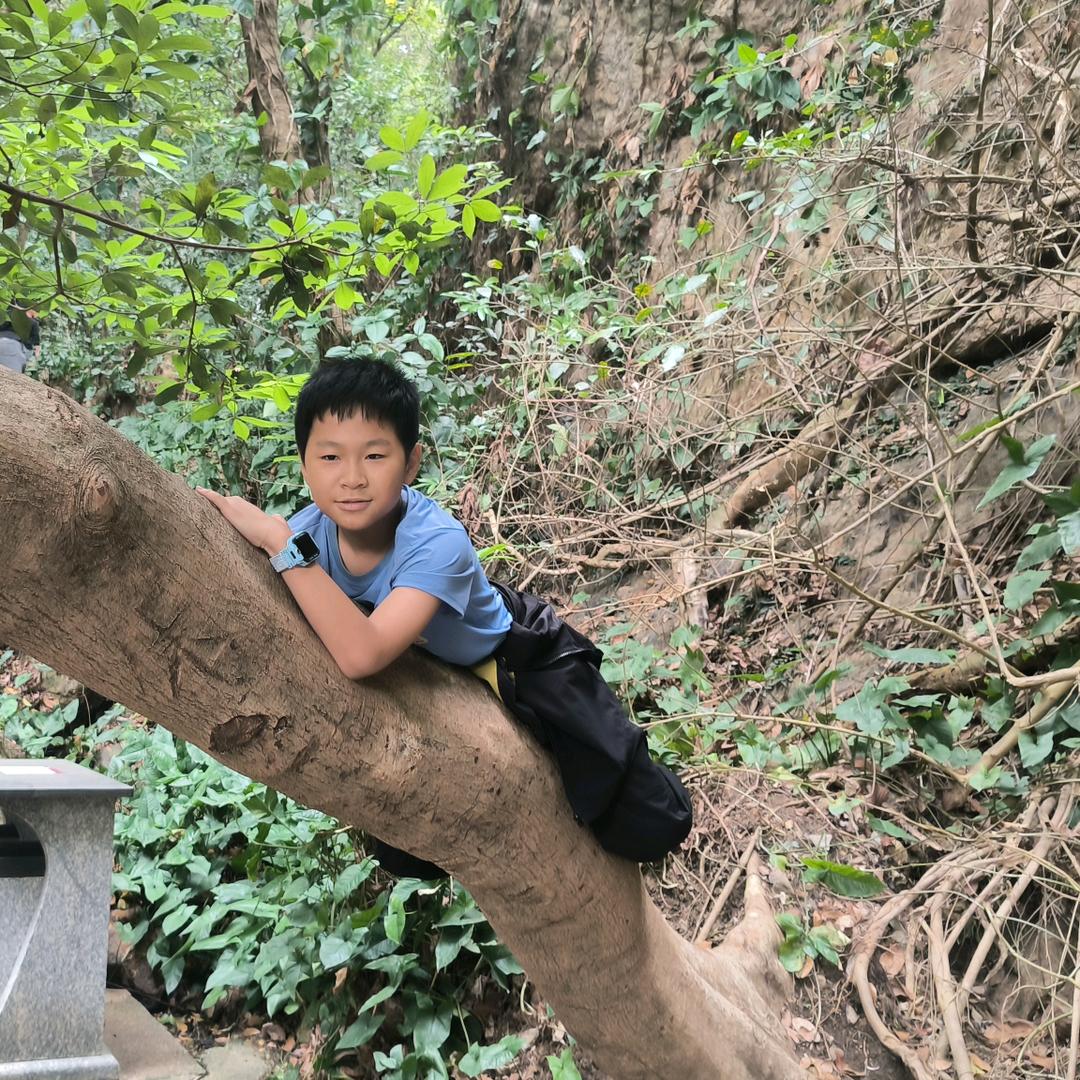 团子宝宝的铲屎官