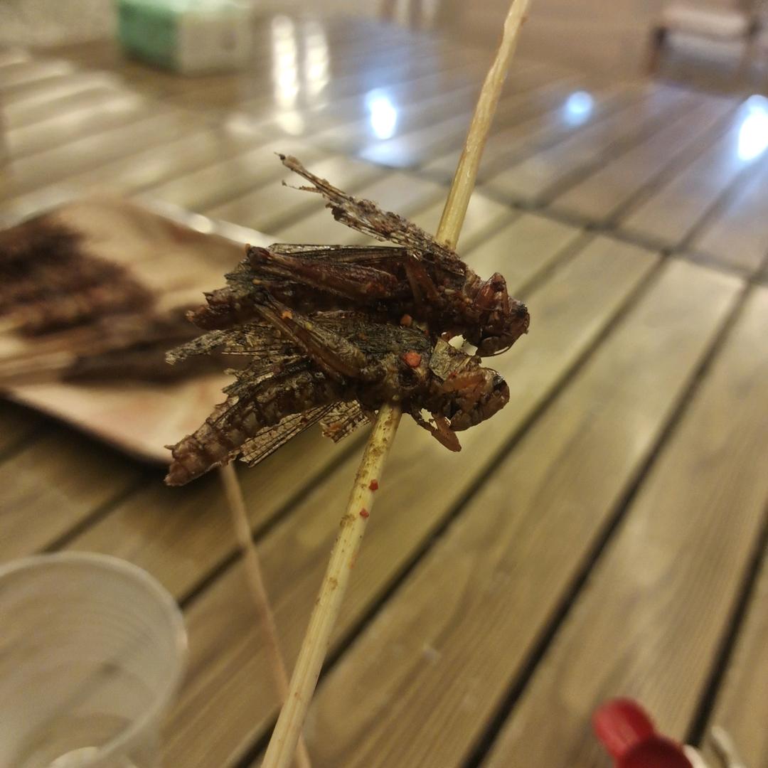 牛歌的故事