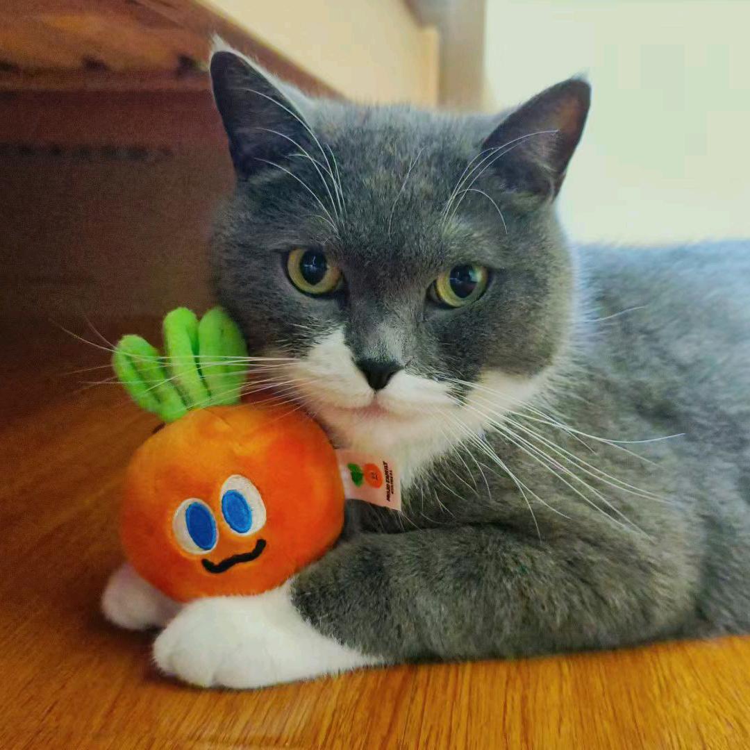 家住海边喜欢浪a